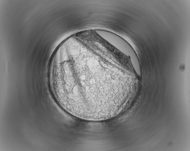 X0000089961142200707271856