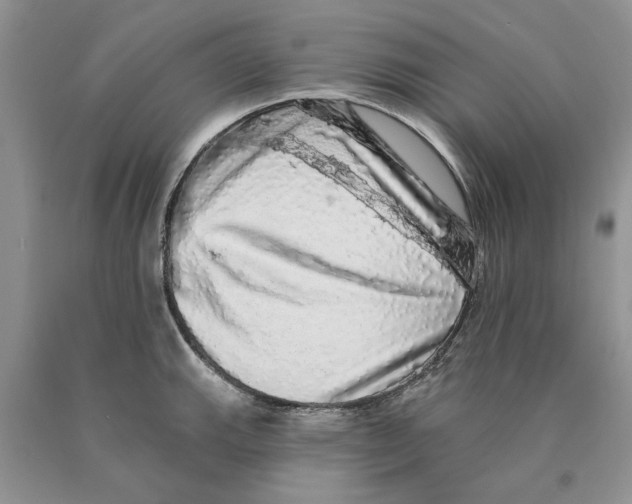 X0000089961143200707271856