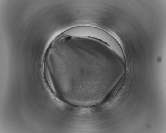 X0000089961144200707271856