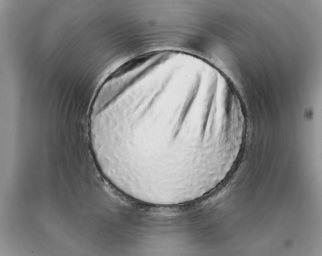 X0000089961145200707271856