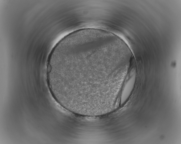 X0000089961147200707271856