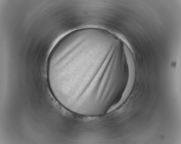 X0000089961148200707271856