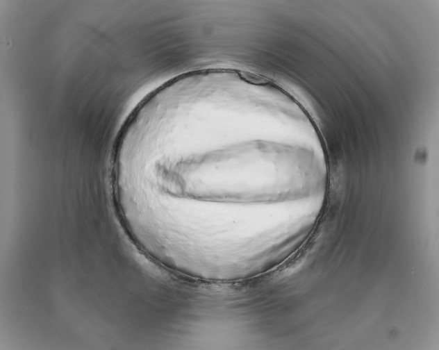 X0000089961149200707271856