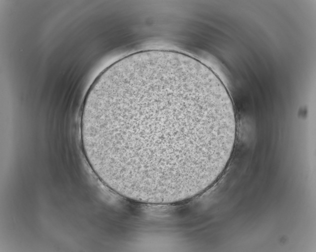 X0000089961150200707271856