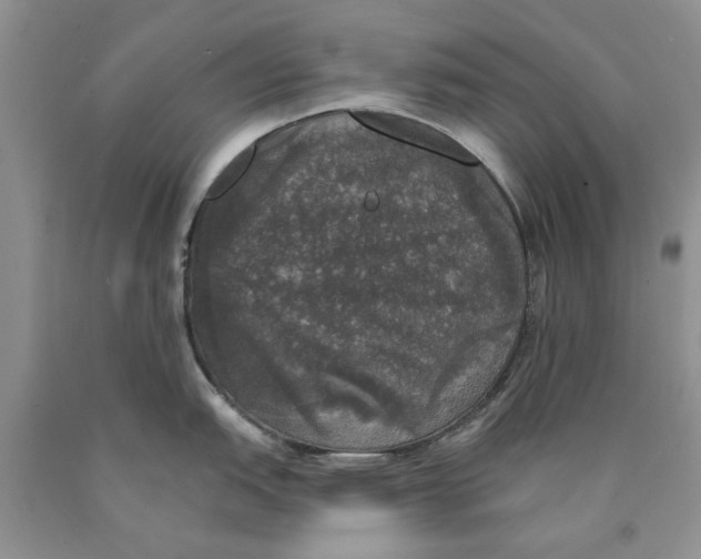 X0000089961151200707271856