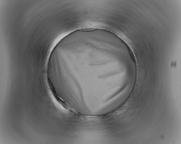 X0000089961152200707271856