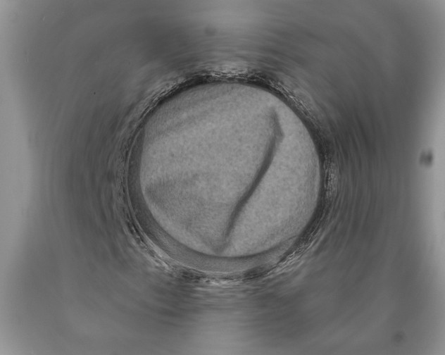 X0000089961153200707271855