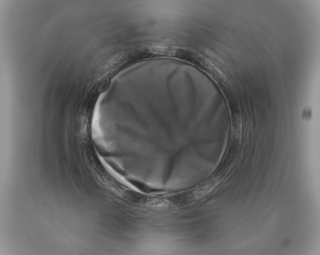 X0000089961154200707271855