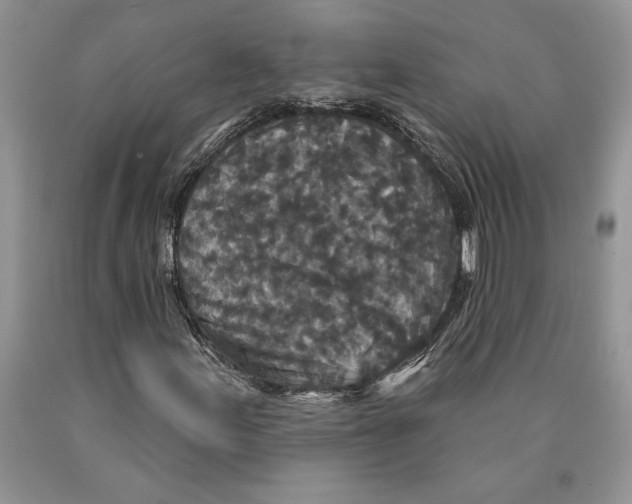 X0000089961155200707271855