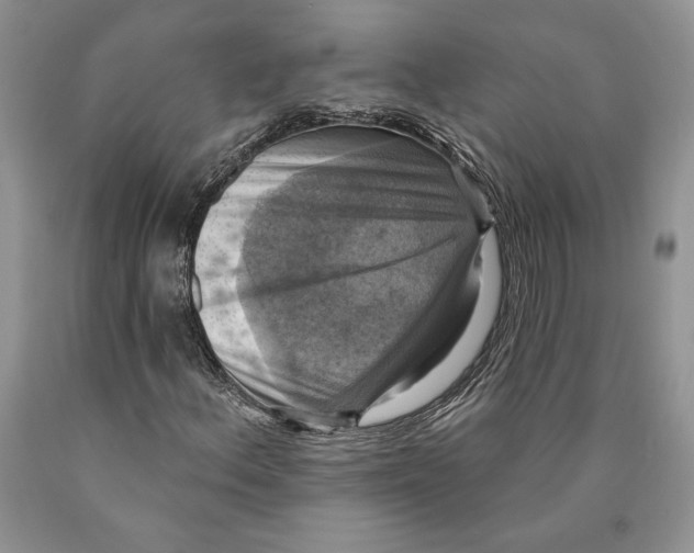 X0000089961156200707271855