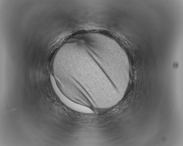 X0000089961157200707271855