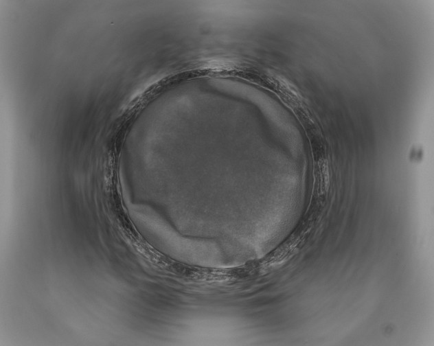 X0000089961158200707271855