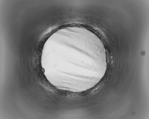 X0000089961159200707271855