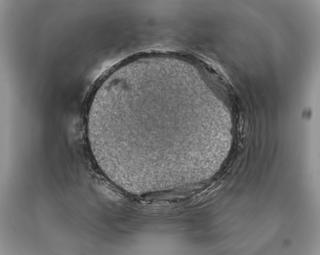 X0000089961160200707271855