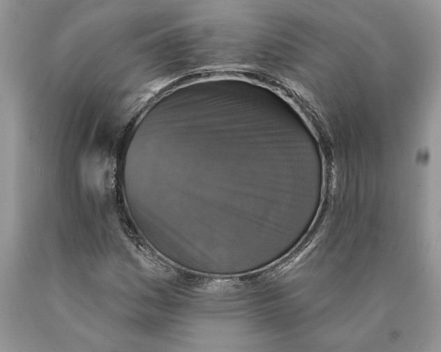 X0000089961161200707271855