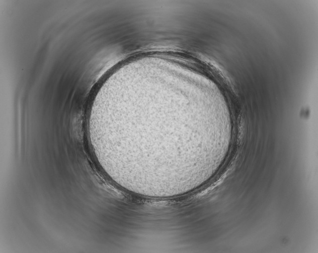 X0000089961162200707271855