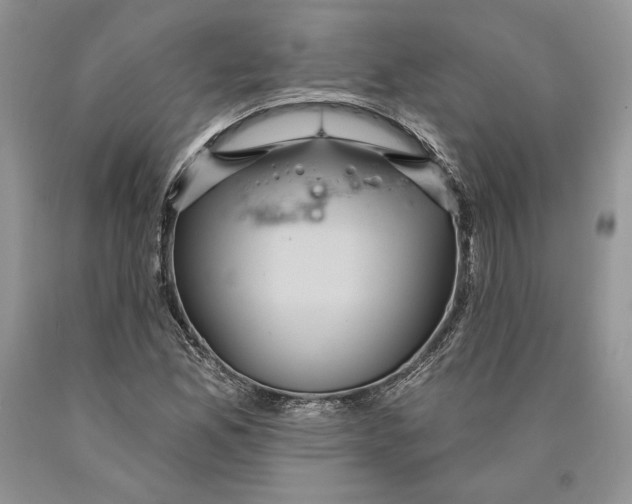 X0000089961165200707271855