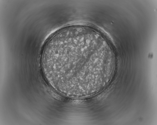 X0000089961166200707271855