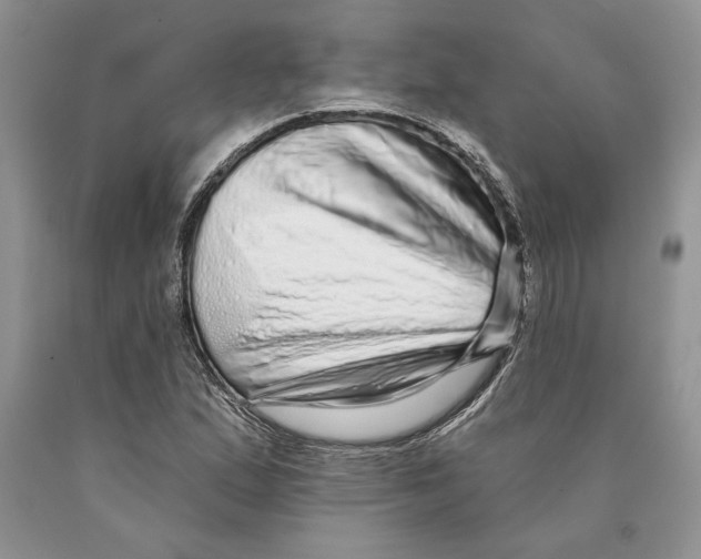 X0000089961167200707271855