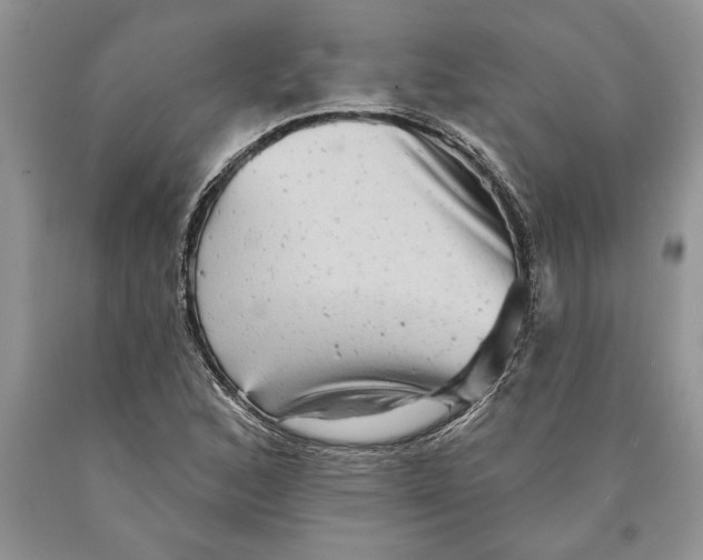 X0000089961168200707271855