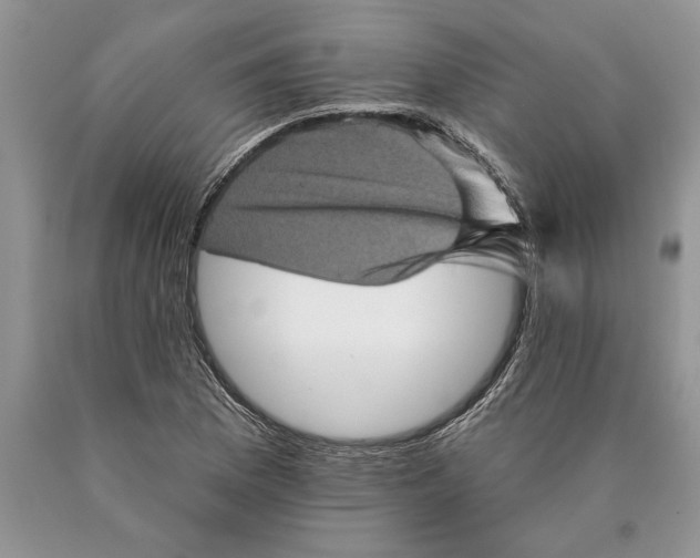 X0000089961169200707271855