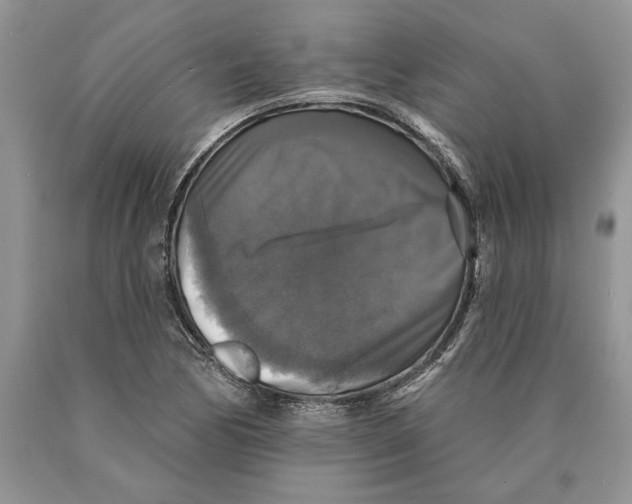 X0000089961170200707271855