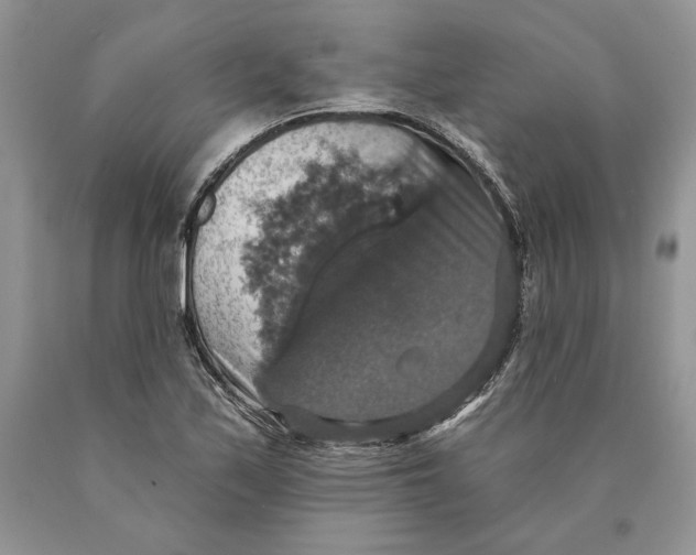 X0000089961171200707271855