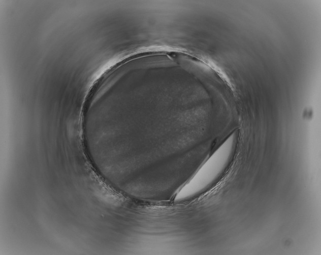 X0000089961173200707271855