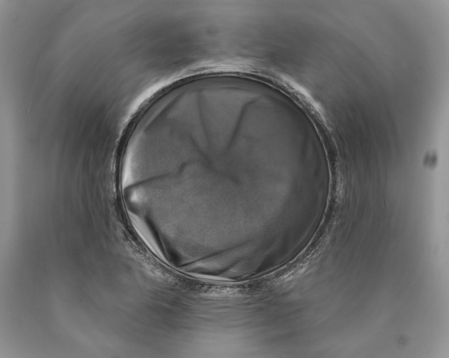 X0000089961174200707271855