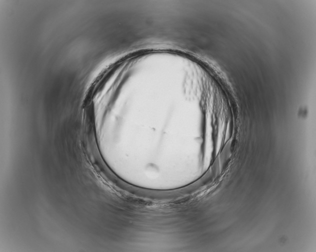 X0000089961175200707271855