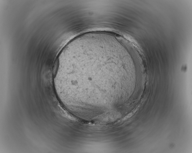 X0000089961177200707271855