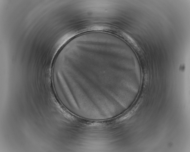 X0000089961178200707271855