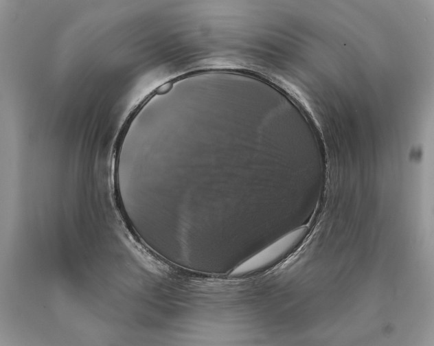 X0000089961179200707271855