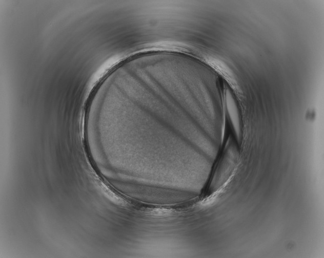 X0000089961180200707271855