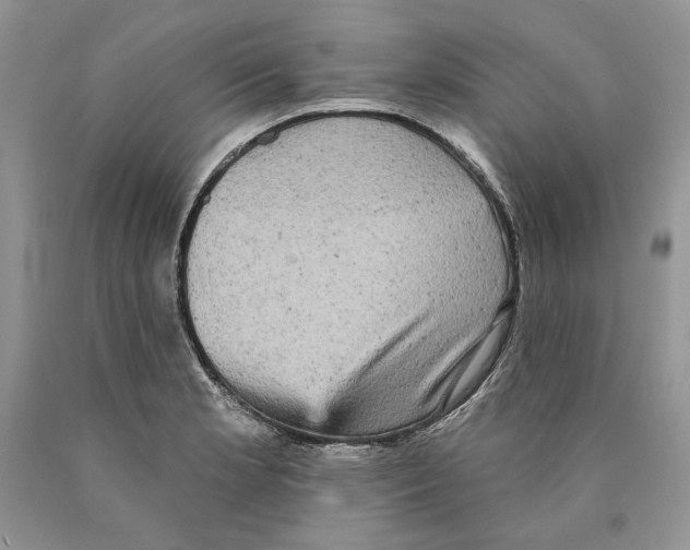 X0000089961181200707271855