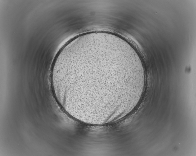 X0000089961182200707271855