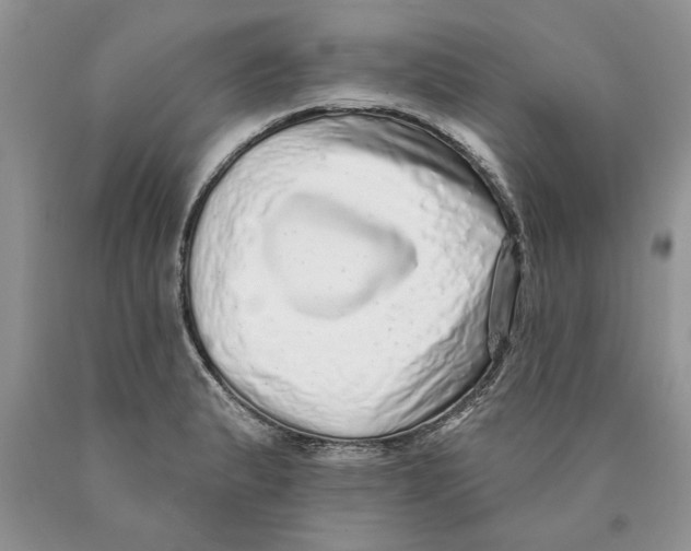 X0000089961183200707271855