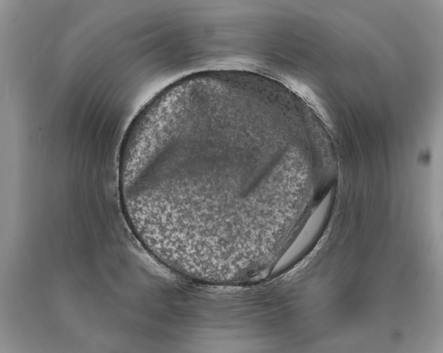 X0000089961184200707271855