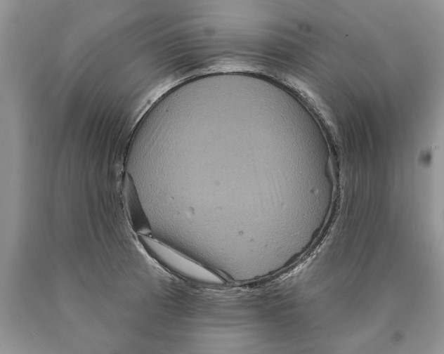 X0000089961185200707271855