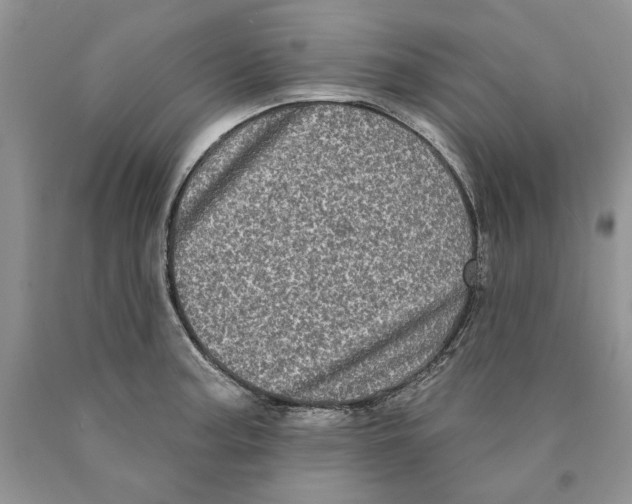 X0000089961187200707271855