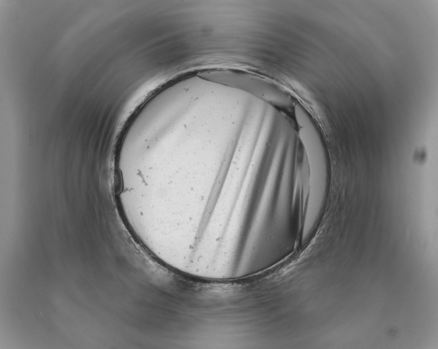 X0000089961188200707271855