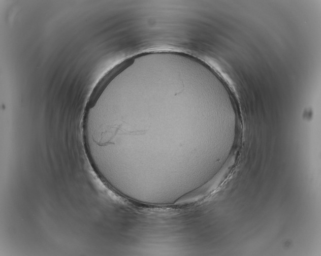 X0000089961189200707271855