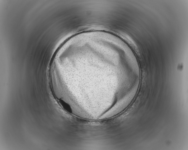 X0000089961190200707271855