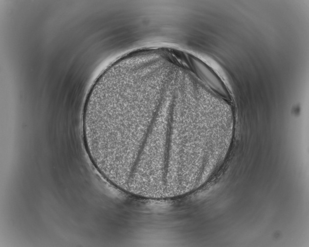 X0000089961191200707271855