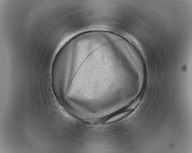 X0000089961192200707271855