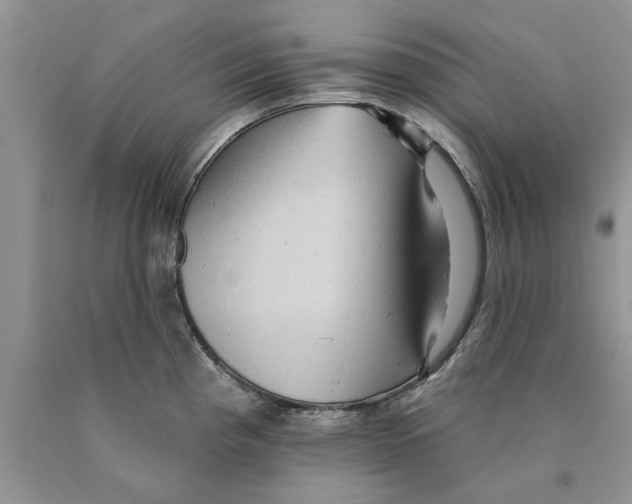 X0000089961193200707271855