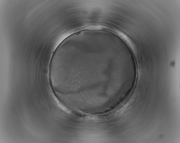 X0000089961194200707271855