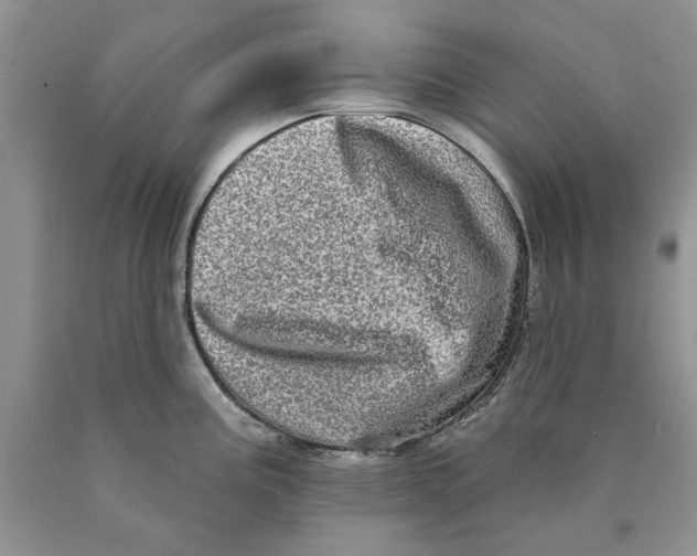 X0000089961195200707271855