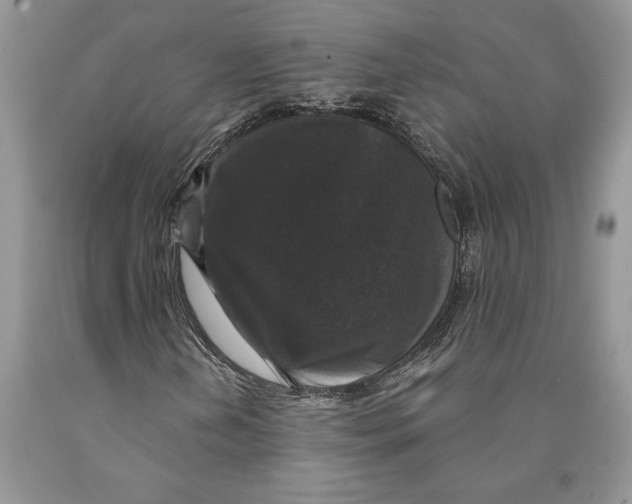 X0000089961202200707271854