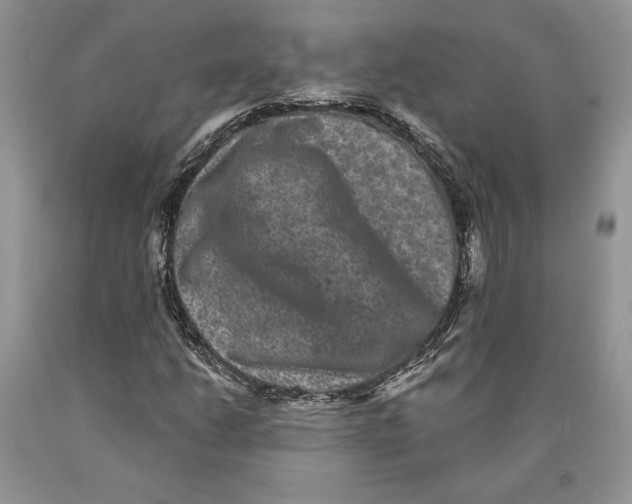 X0000089961206200707271854